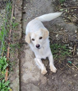 Screenshot_20251221_142605_com.facebook.katana_edit_2932990510783178