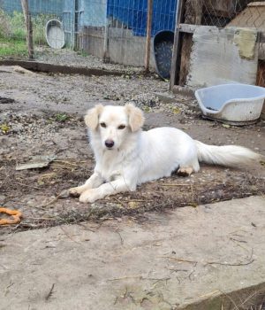 Screenshot_20251221_142606_com.facebook.katana_edit_2932985184519637