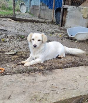 Screenshot_20251221_142607_com.facebook.katana_edit_2932978467856618