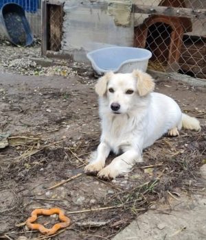 Screenshot_20251221_142610_com.facebook.katana_edit_2932973164851410