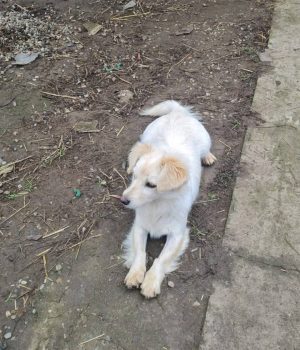 Screenshot_20251221_142612_com.facebook.katana_edit_2932961856502974