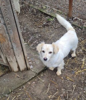 Screenshot_20251221_142613_com.facebook.katana_edit_2932953854208184