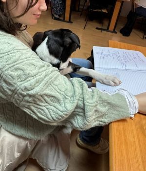 Screenshot_20260129_112649_com.facebook.katana_edit_4328308302147351