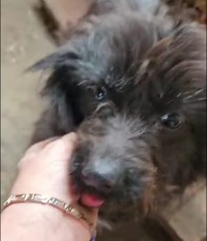 Screenshot_20260130_201057_com.facebook.katana_edit_4378663260475604