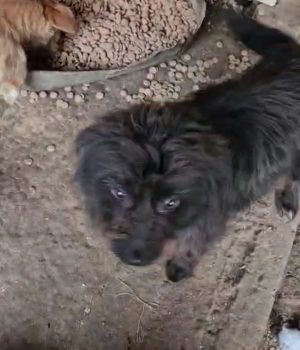 Screenshot_20260130_201139_com.huawei.himovie.overseas_edit_4378718076451117