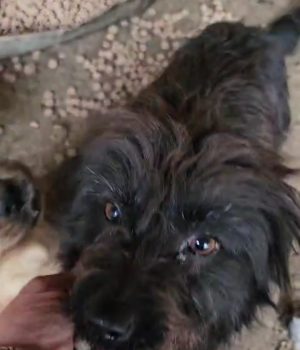 Screenshot_20260130_201140_com.huawei.himovie.overseas