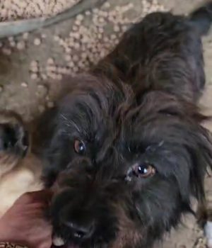 Screenshot_20260130_201147