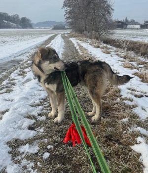 Screenshot_20260208_220213_com.facebook.katana_edit_4719891331901662