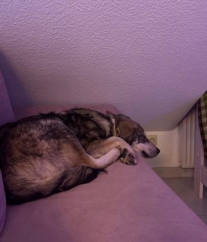 Screenshot_20260208_220216_com.facebook.katana_edit_4719876525884476