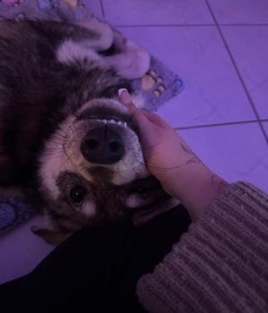 Screenshot_20260208_220218_com.facebook.katana_edit_4719870676387602