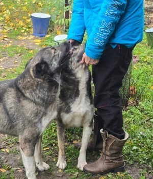 aea3ee11-4573-4488-a465-cfec28e47bb1