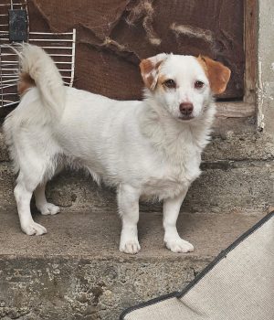 b20c3206-45ca-4b6b-baf4-025b81533b39