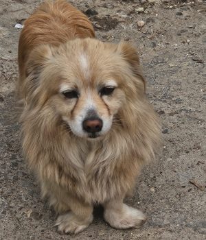 b67314b5-6636-4c8f-b0a1-b591d43652c3