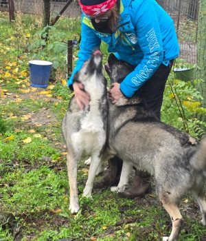 ba077d62-ed59-46f8-a9f6-26ae3d03d60a