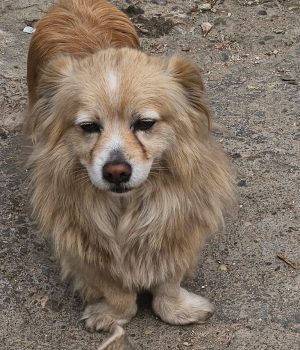 c5c514de-8087-48c3-84b7-26936764fec5