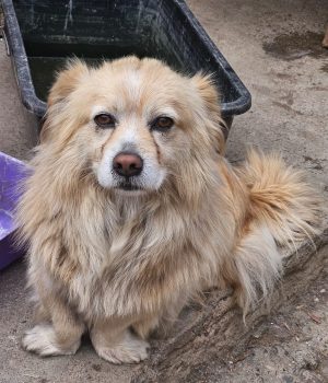 ef2dc7b3-175e-4c0a-b8dc-3a9a3452d954